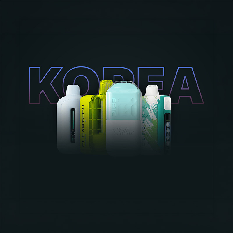 South Korea Online Disposable Vape Market Snapshot